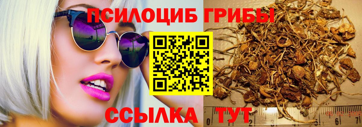 Галлюциногенные грибы Psilocybine cubensis  Псилоцибиновые грибы Cubensis  Вход с VPN  Котлас 